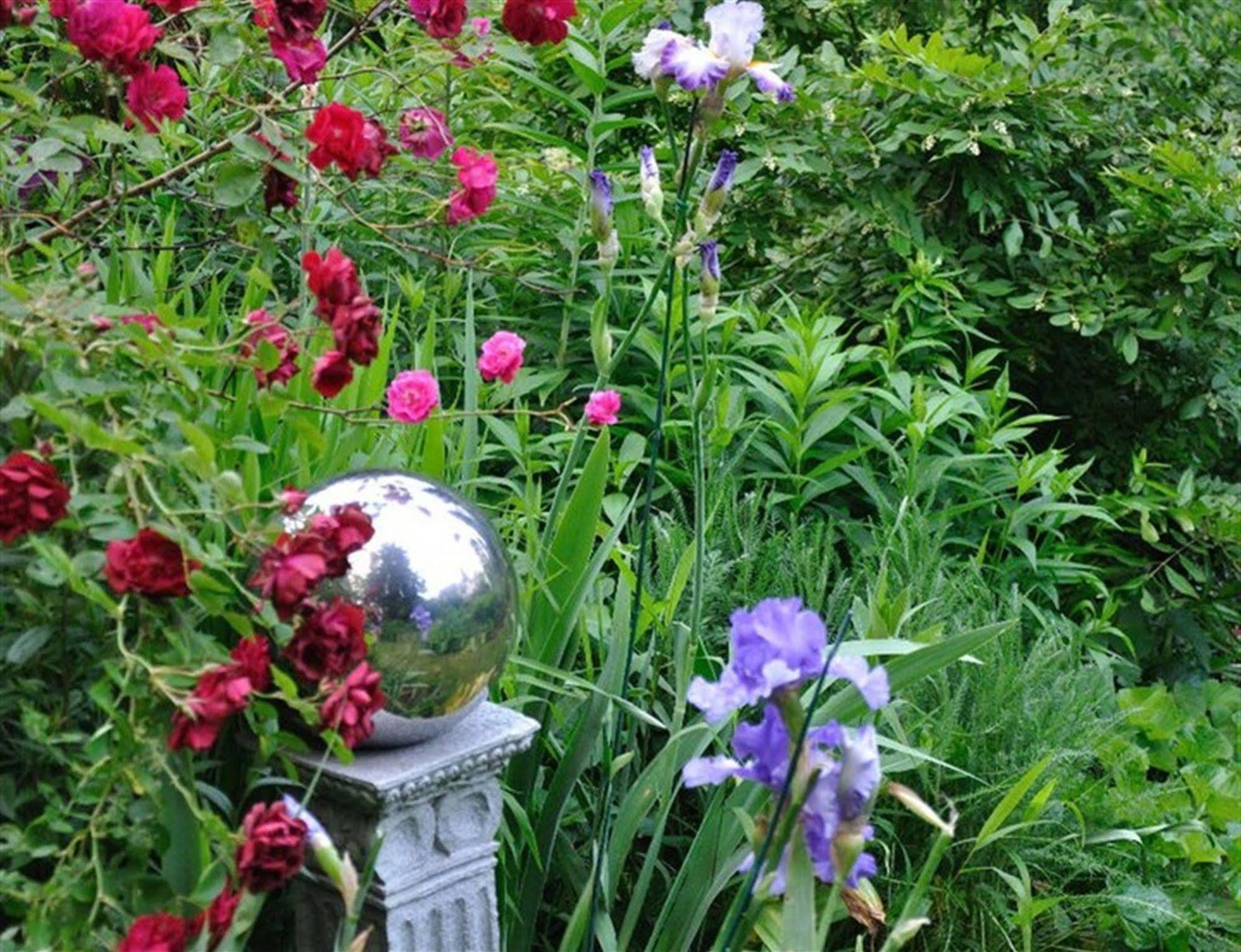 Chadds FordWild Wisteria住宿加早餐旅馆 外观 照片