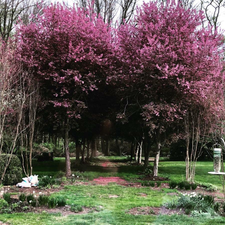 Chadds FordWild Wisteria住宿加早餐旅馆 外观 照片